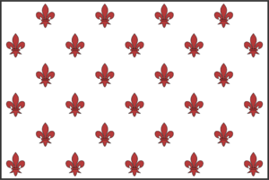 Bannière Nouvelle Cédoyïn.png